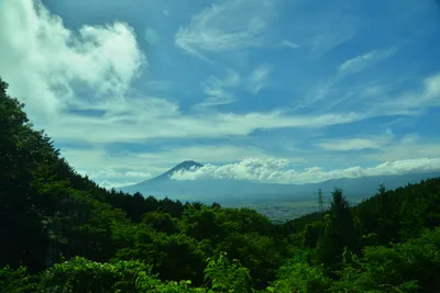 DSC_3669 (Large).JPG